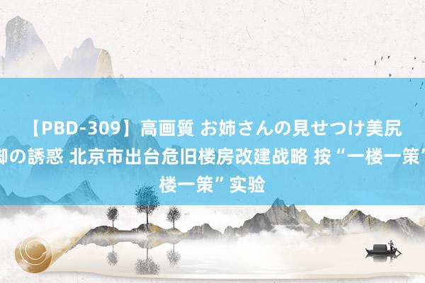 【PBD-309】高画質 お姉さんの見せつけ美尻＆美脚の誘惑 北京市出台危旧楼房改建战略 按“一楼一策”实验