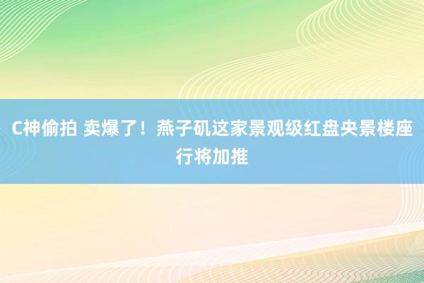 C神偷拍 卖爆了！燕子矶这家景观级红盘央景楼座行将加推