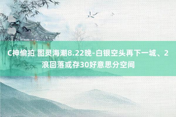 C神偷拍 图灵海潮8.22晚-白银空头再下一城、2浪回落或存30好意思分空间