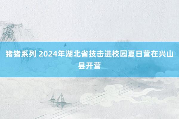 猪猪系列 2024年湖北省技击进校园夏日营在兴山县开营