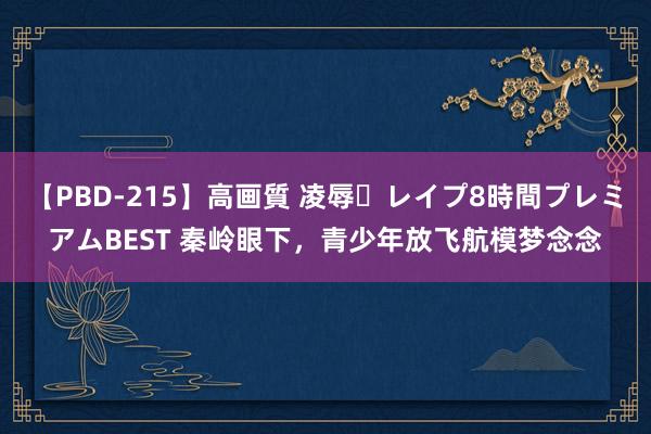 【PBD-215】高画質 凌辱・レイプ8時間プレミアムBEST 秦岭眼下，青少年放飞航模梦念念