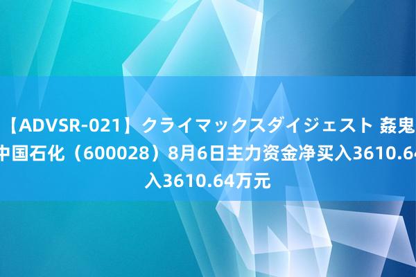 【ADVSR-021】クライマックスダイジェスト 姦鬼 ’10 中国石化（600028）8月6日主力资金净买入3610.64万元