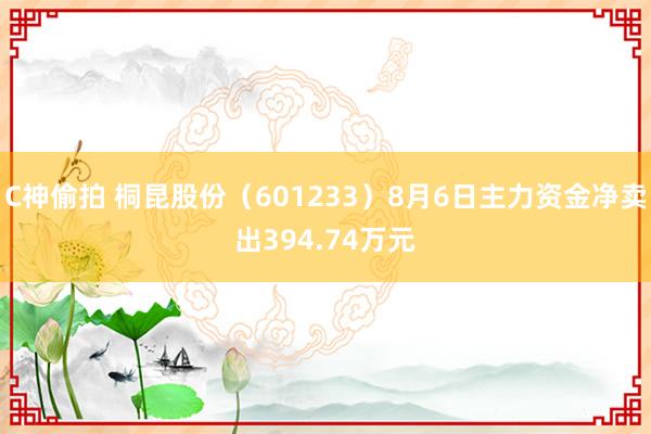 C神偷拍 桐昆股份（601233）8月6日主力资金净卖出394.74万元