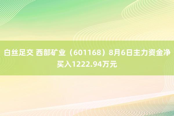 白丝足交 西部矿业（601168）8月6日主力资金净买入1222.94万元