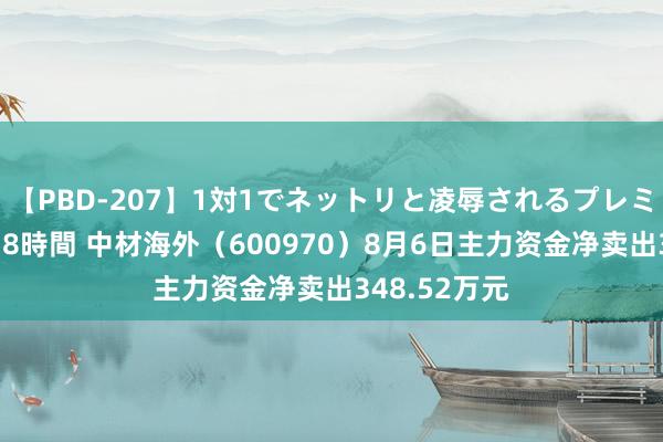 【PBD-207】1対1でネットリと凌辱されるプレミア女優たち 8時間 中材海外（600970）8月6日主力资金净卖出348.52万元