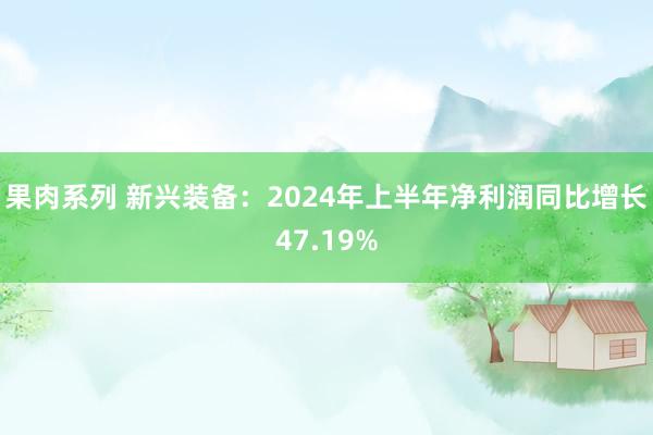 果肉系列 新兴装备：2024年上半年净利润同比增长47.19%