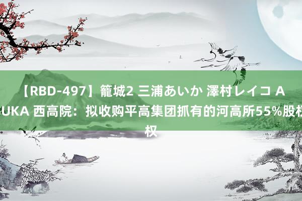 【RBD-497】籠城2 三浦あいか 澤村レイコ ASUKA 西高院：拟收购平高集团抓有的河高所55%股权