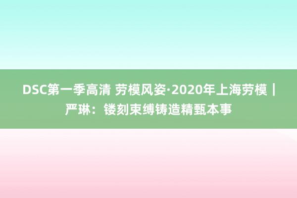 DSC第一季高清 劳模风姿·2020年上海劳模｜严琳：镂刻束缚铸造精甄本事