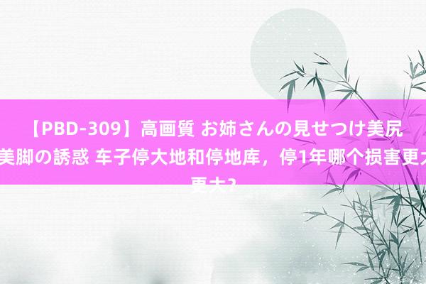 【PBD-309】高画質 お姉さんの見せつけ美尻＆美脚の誘惑 车子停大地和停地库，停1年哪个损害更大？