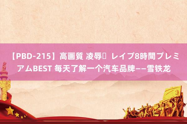 【PBD-215】高画質 凌辱・レイプ8時間プレミアムBEST 每天了解一个汽车品牌——雪铁龙