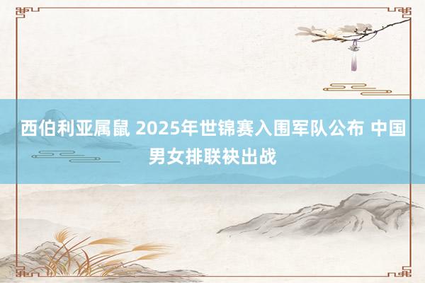 西伯利亚属鼠 2025年世锦赛入围军队公布 中国男女排联袂出战