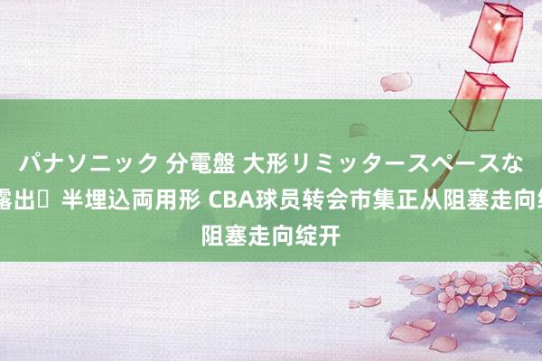 パナソニック 分電盤 大形リミッタースペースなし 露出・半埋込両用形 CBA球员转会市集正从阻塞走向绽开