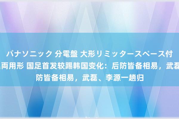 パナソニック 分電盤 大形リミッタースペース付 露出・半埋込両用形 国足首发较踢韩国变化：后防皆备相易，武磊、李源一趟归