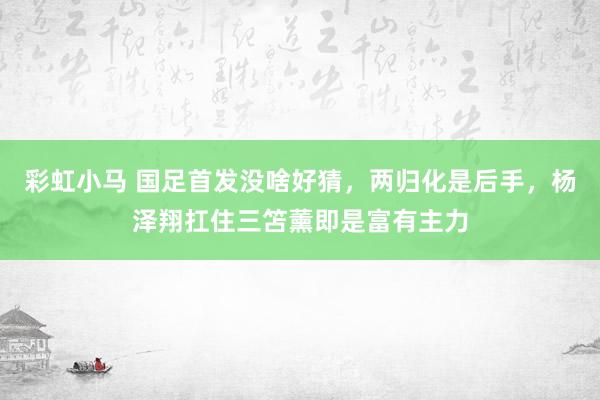 彩虹小马 国足首发没啥好猜，两归化是后手，杨泽翔扛住三笘薰即是富有主力