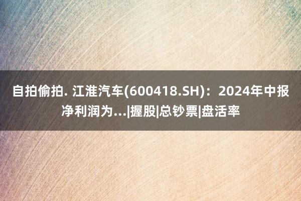 自拍偷拍. 江淮汽车(600418.SH)：2024年中报净利润为...|握股|总钞票|盘活率