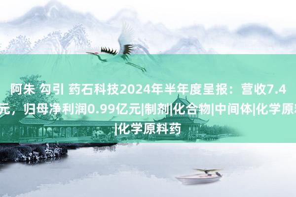 阿朱 勾引 药石科技2024年半年度呈报：营收7.45亿元，归母净利润0.99亿元|制剂|化合物|中间体|化学原料药