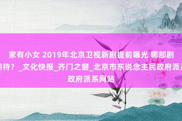 家有小女 2019年北京卫视新剧提前曝光 哪部剧你最期待？_文化快报_齐门之窗_北京市东说念主民政府派系网站