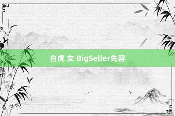 白虎 女 BigSeller先容