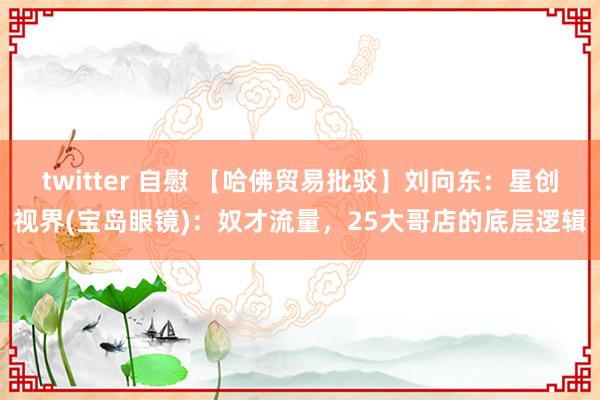 twitter 自慰 【哈佛贸易批驳】刘向东：星创视界(宝岛眼镜)：奴才流量，25大哥店的底层逻辑