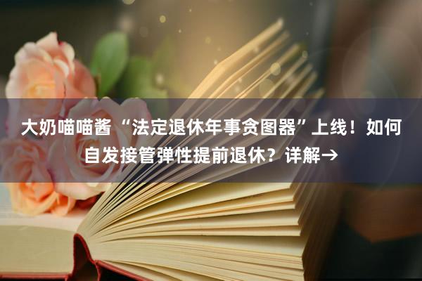 大奶喵喵酱 “法定退休年事贪图器”上线！如何自发接管弹性提前退休？详解→